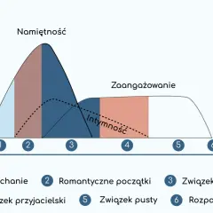 Wykres pokazuje fazy związku: od zauroczenia, przez namiętność, intymność, zaangażowanie, aż po związek pusty i rozpad. Zaniedbanie w związku może prowadzić do pustki.